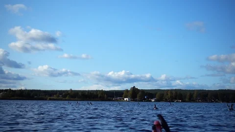 Action Camera: Geese swarm suddenly starting to fly from a lake surface Stock Footage 116475499