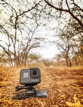 Action camera lying on ground in forest Stock Photos
