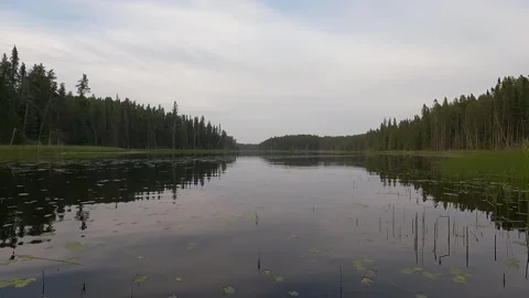 Action camera mounted on the front of a canoe that is moving slowly in reeds Stock Footage 249838594
