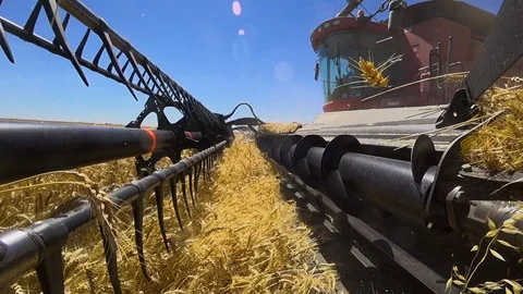 Action camera mounted on harvester working a wheat field Stock Footage 86899258