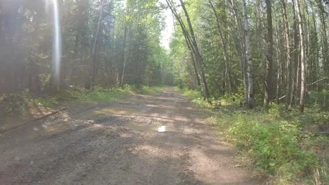 Action camera POV from a mountain biker riding along a muddy road  Stock Footage 259220464