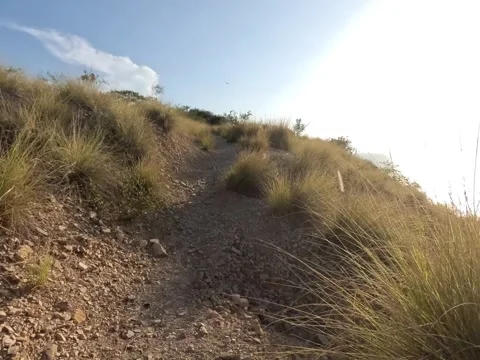 Action camera video. Exercise in nature Stock Footage 292838390