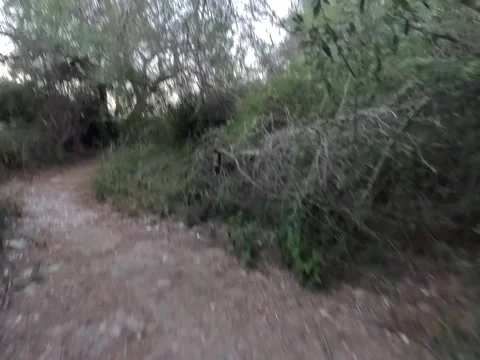 Action camera video. Exercise in nature Stock Footage 292838661