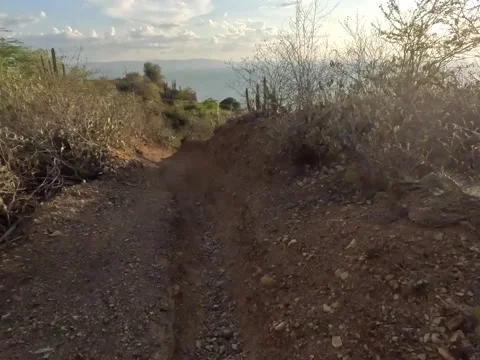 Action camera video. Exercise in nature Stock Footage 292840096
