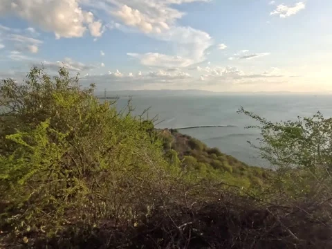 Action camera video. Exercise in nature Stock Footage 292840319