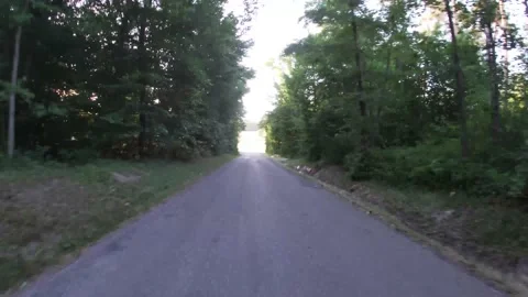 Action camera video of road in the forest, shot from behind Stock Footage 201628243