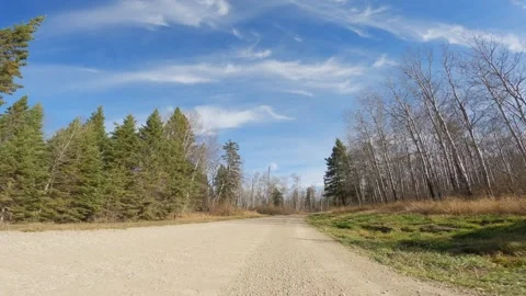 Action camera while driving along gravel road through fall northern forest under Stock Footage 288262663