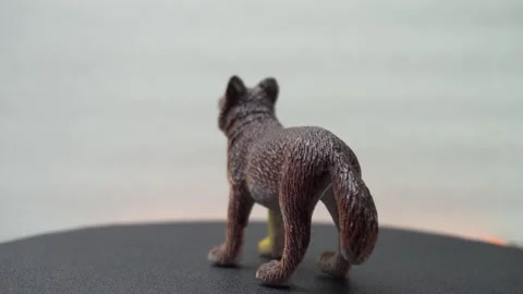 Action figure wolf on show in display rotating Video stock 282238156