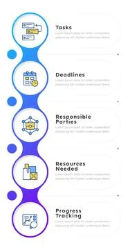 Action plan structure infographic 5 steps Stock Illustration