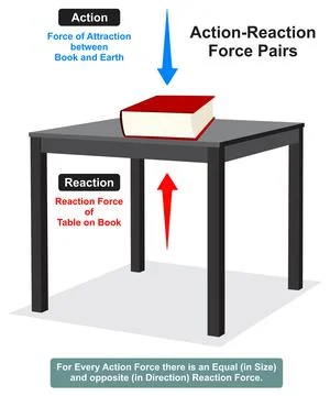 Action reaction force pair infographic diagram book on table newton third law Stock Illustration