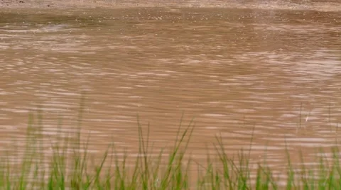 Action ride ATV pass the water Stock Footage 64317880