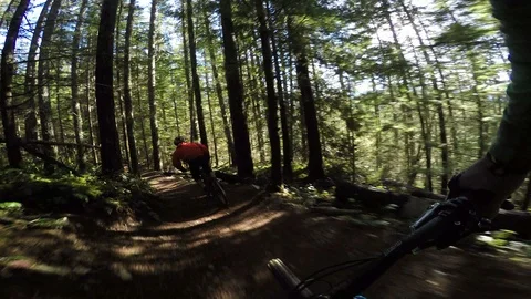 Action Sequence Following A Mountain Biker Through A Forest On A Sunny Day Vídeo Stock 87054293