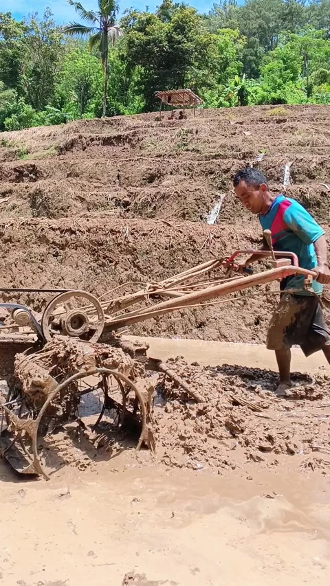 Action shot of an active young farmer driving a tractor. Stock Footage 321932031