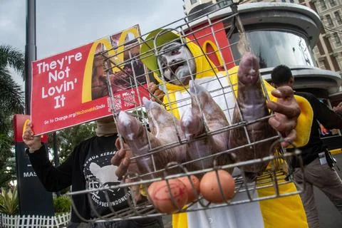  ACTION URGES COMMITMENT TO CAGE-FREE LAYER FARMS Activists who are member... Stock Photos