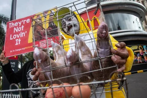  ACTION URGES COMMITMENT TO CAGE-FREE LAYER FARMS Activists who are member... 스톡 사진