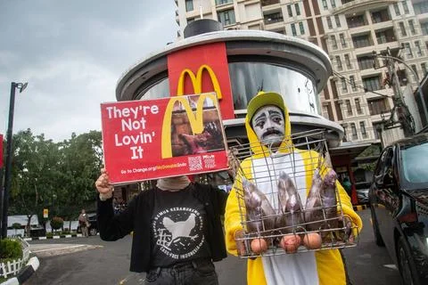  ACTION URGES COMMITMENT TO CAGE-FREE LAYER FARMS Activists who are member... 写真素材