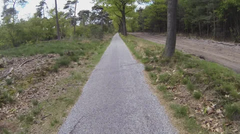 Actioncam: cycling in forest Video stock 23181710