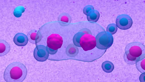 Activated b-cell dividing and emitting antibody Stock Footage 151134111