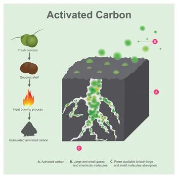 Activated Carbon. After coconut shell burning and grind into small pieces, th Stock Illustration
