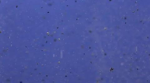 Activated carbon powder in water (blue background) Stock Footage