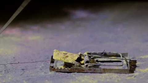Activated mousetrap and colored powder, Ultra Slow Motion 스톡 동영상 86576133