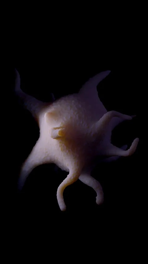 Activated platelets Stock Footage 284048212