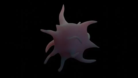 Activated platelets Stock Footage 305632297