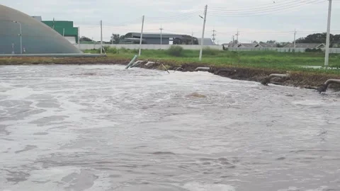 Activated sludge01 Stock Footage 142945643