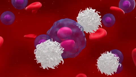 Activated t-cells attack and destroy a divided lymphoma cell Stock Footage 152014981