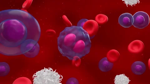 Activated t-cells attack and destroy a divided lymphoma cell Stock Footage 204997888