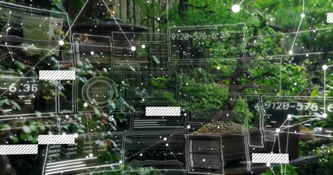 Activating digital overlay mapping central planter with bonsai tree and pots, Stock Footage 334036488