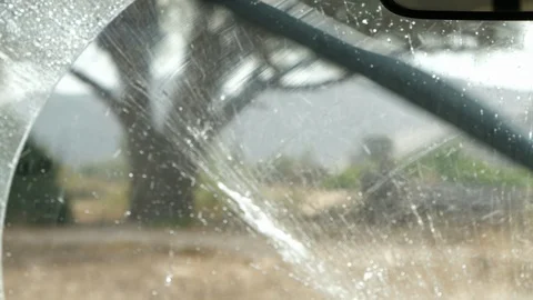 Activating windscreen wiper in Kaokoland, tree landscape, Namibia 4K Stock Footage 90914177