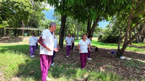 Active Aging: Group of Seniors Practicing Mind-Body Tai Chi in a Serene Park. Stock Footage 318764652
