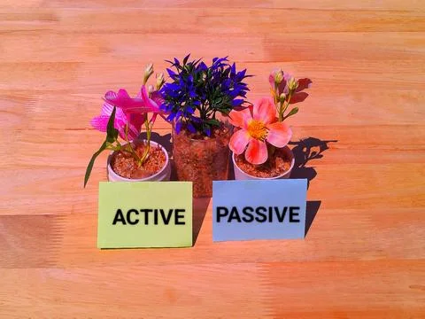 Active and passive concept 스톡 사진