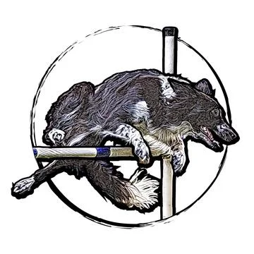 Active Border Collie Dog jumping Stock Illustration