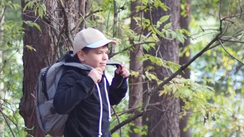 Active boy in a hat with a backpack stands in a summer pine forest Stock Footage 274879155