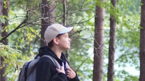 Active boy in a hat with a backpack stands in a summer pine forest Stock Footage 274879247