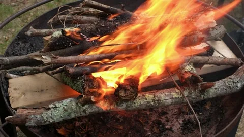 Active Campfire Burning in Metal Fire Pit Stock Footage 337188444