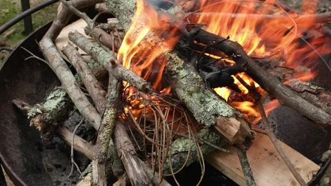 Active Campfire Burning in Metal Fire Pit Vídeos de archivo 337188468