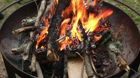 Active Campfire Burning in Metal Fire Pit Stock Footage 337188478