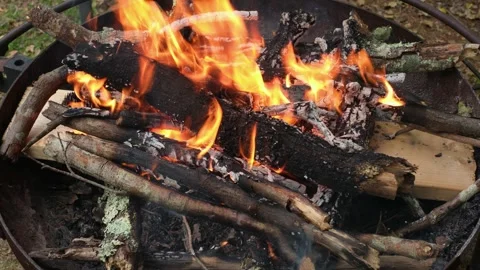 Active Campfire Burning in Metal Fire Pit Vídeos de archivo 337188504