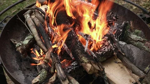 Active Campfire Burning in Metal Fire Pit Vídeos de archivo 337188510