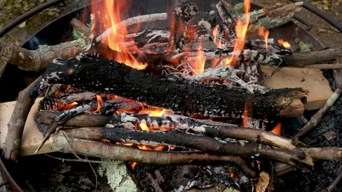 Active Campfire Burning in Metal Fire Pit Stock Footage 337188526