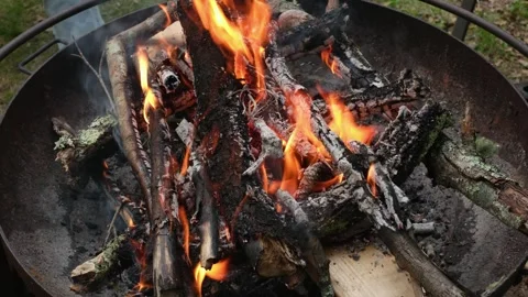 Active Campfire Burning in Metal Fire Pit Vídeos de archivo 337188532
