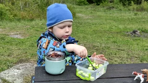 An active child eats organic food from a thermos in nature Stock Footage 239921927