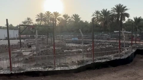 Active Construction Site at Palm Oasis Sunset Stock Footage 340419689