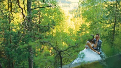 Active couple climbing on the rock in the forest with cliffs, pine trees Stock Footage 95833270