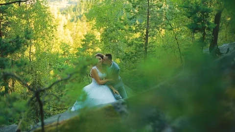 Active couple climbing on the rock in the forest with cliffs, pine trees Stock Footage 95834051