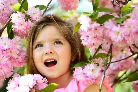 Active day. Springtime. weather forecast. face and skincare. allergy to flowers Photos