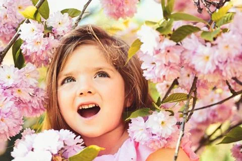 Active day. Springtime. weather forecast. face and skincare. allergy to flowers Photos